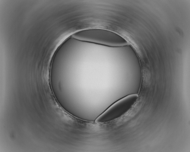 X0000112740956200909031503