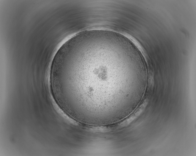 X0000112740957200909031503