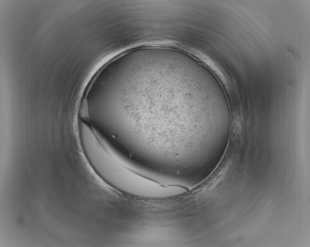 X0000112740959200909031503