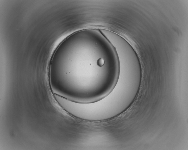 X0000112740960200909031503