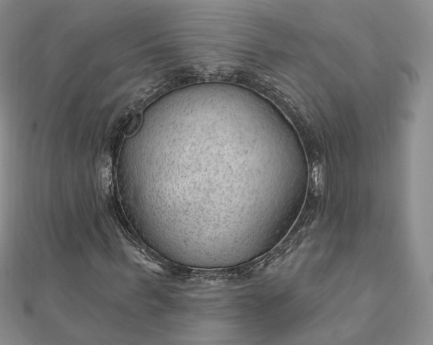 X0000112740963200909031503