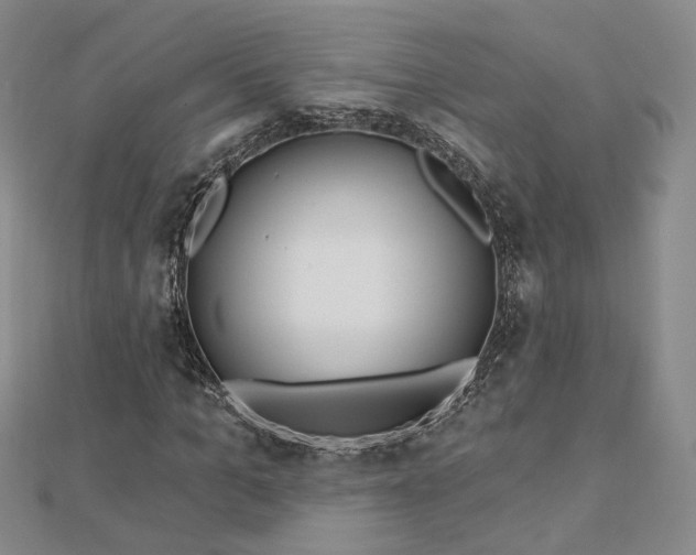 X0000112740965200909031503