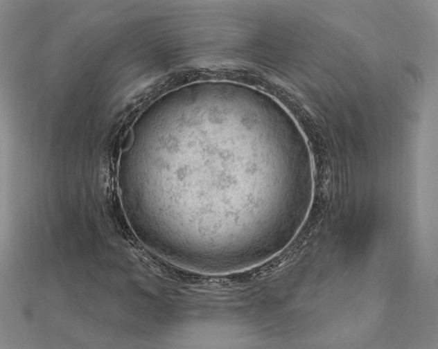 X0000112740966200909031503