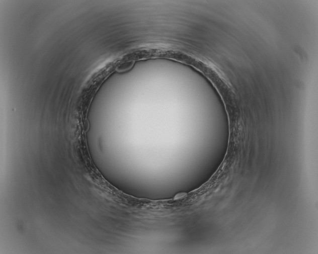 X0000112740967200909031503