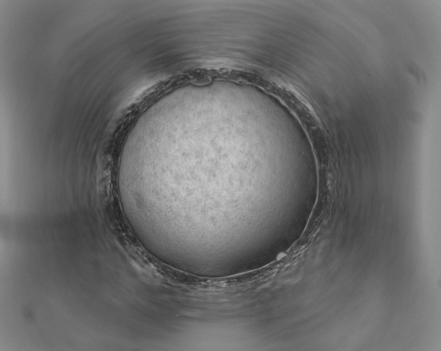 X0000112740968200909031503