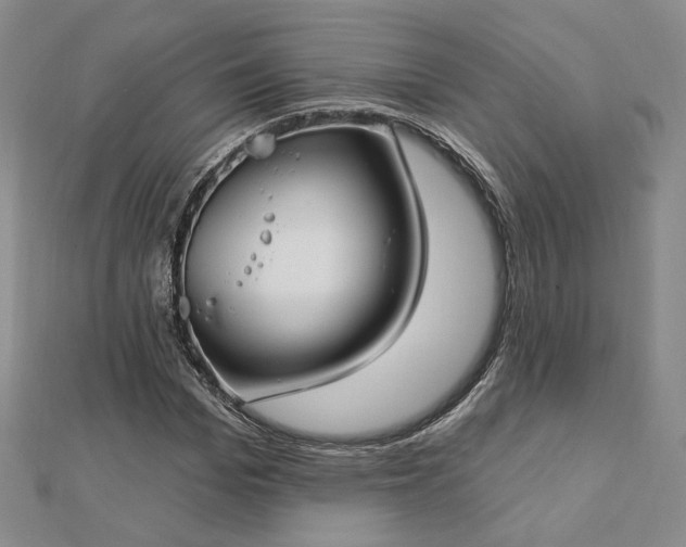 X0000112740969200909031503