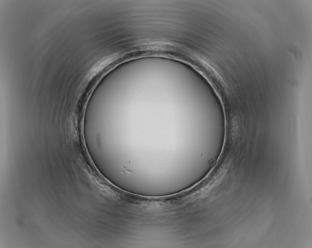 X0000112740970200909031503