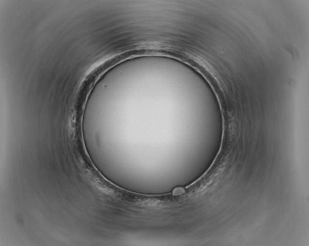 X0000112740971200909031503