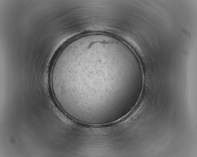 X0000112740976200909031503