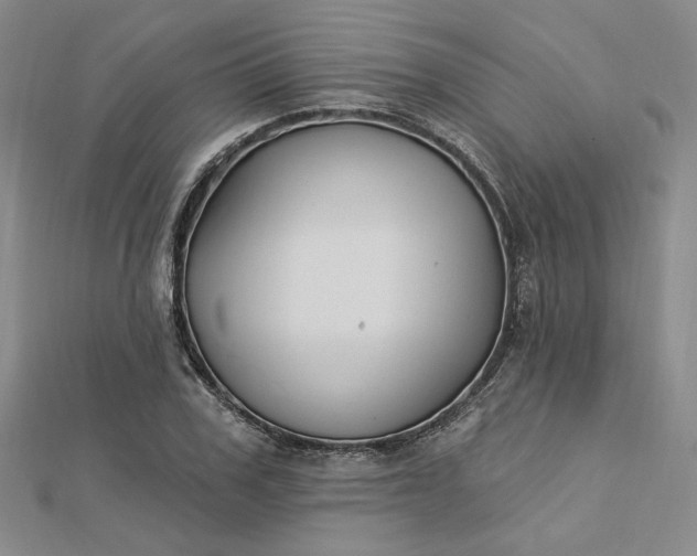 X0000112740979200909031503