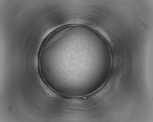 X0000112740980200909031503