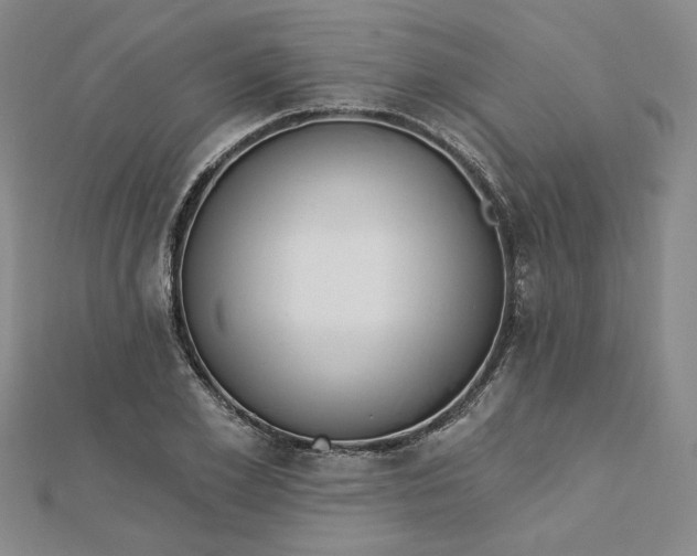 X0000112740981200909031503