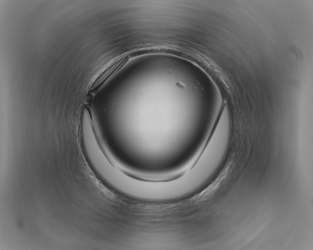 X0000112740985200909031503