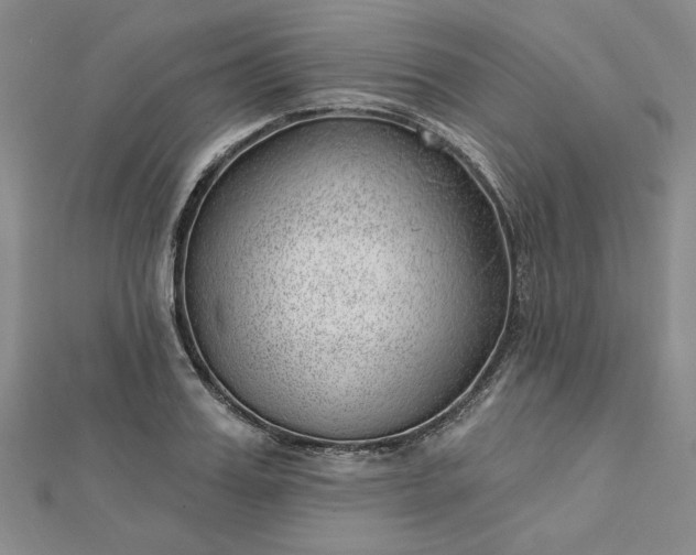 X0000112740987200909031502