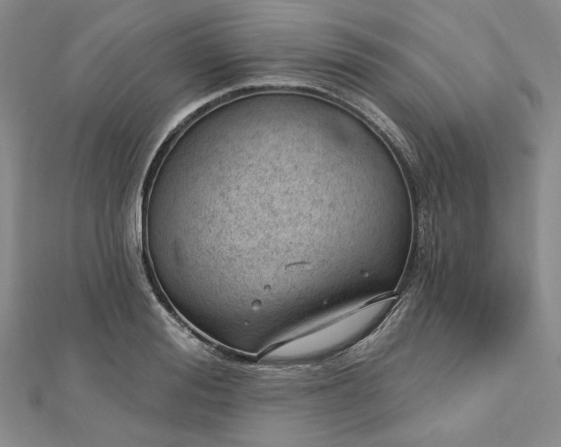 X0000112740988200909031502