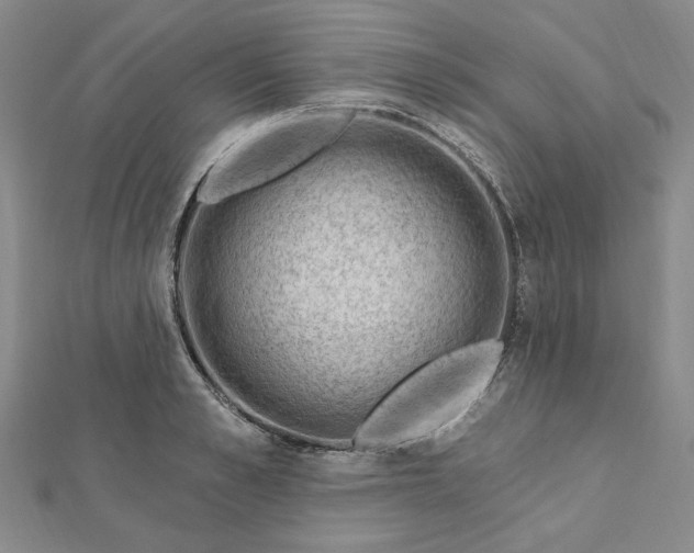 X0000112740989200909031502