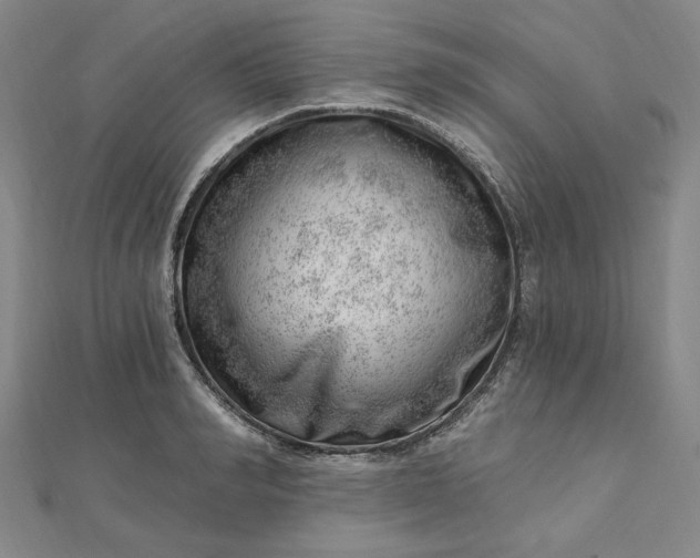 X0000112740990200909031502