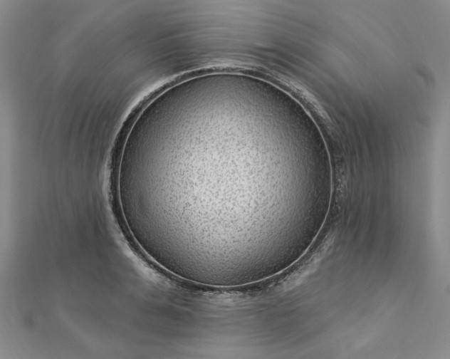 X0000112740991200909031502