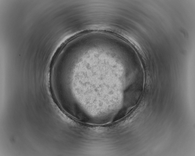 X0000112740992200909031502