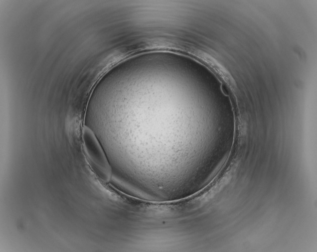 X0000112740993200909031502