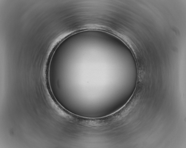 X0000112740995200909031502