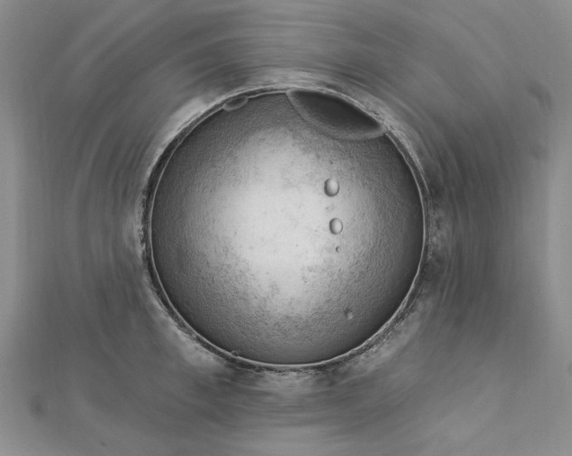 X0000112740997200909031502