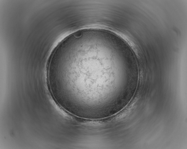 X0000112740998200909031502