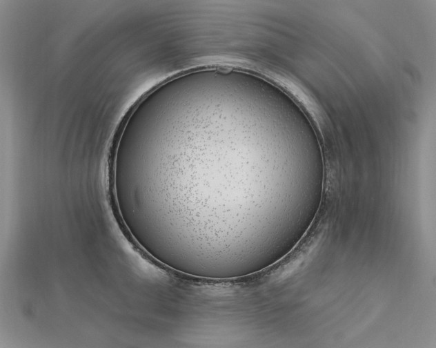 X0000112740999200909031502