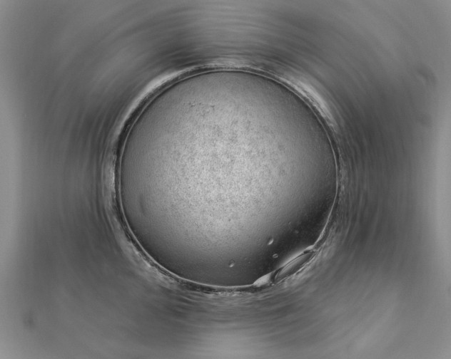 X0000112741000200909031502