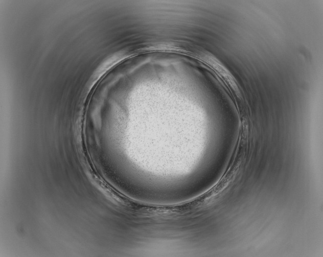 X0000112741002200909031502