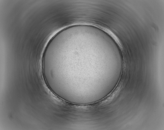 X0000112741004200909031502