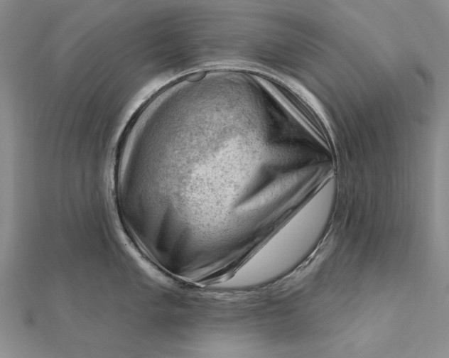 X0000112741005200909031502