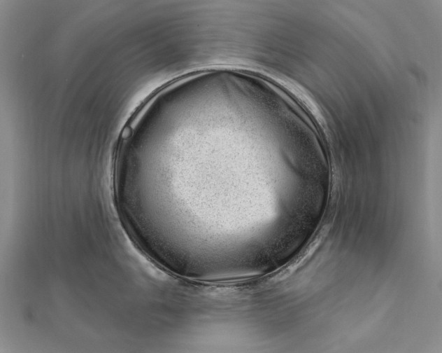 X0000112741006200909031502