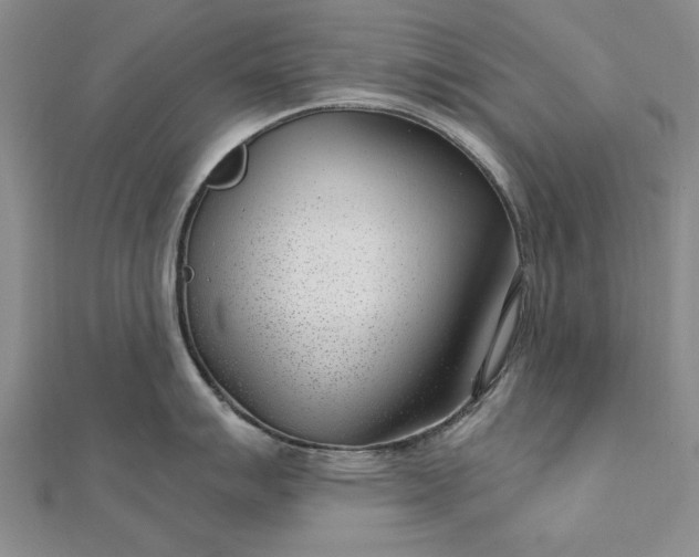 X0000112741007200909031502