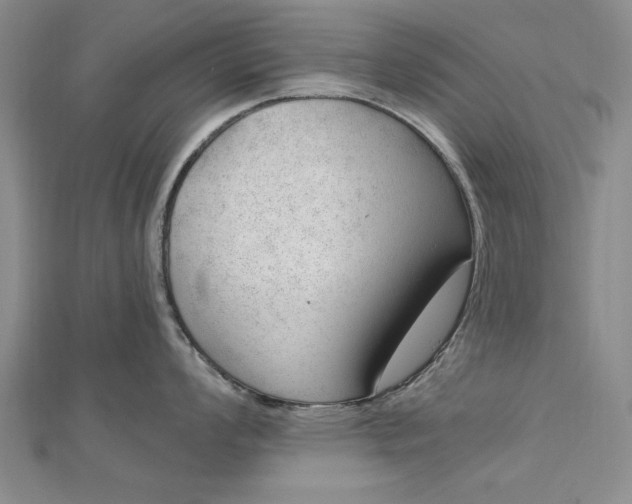 X0000112741008200909031502