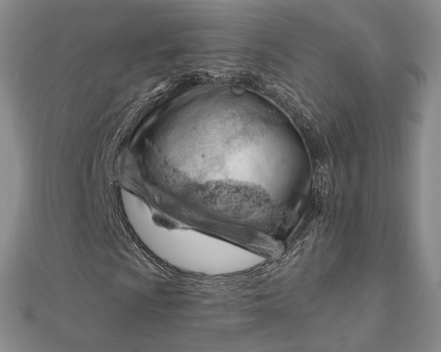 X0000112741009200909031502