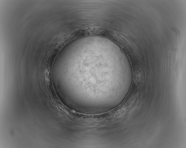 X0000112741010200909031502