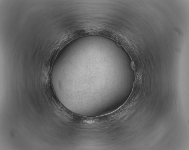 X0000112741012200909031502