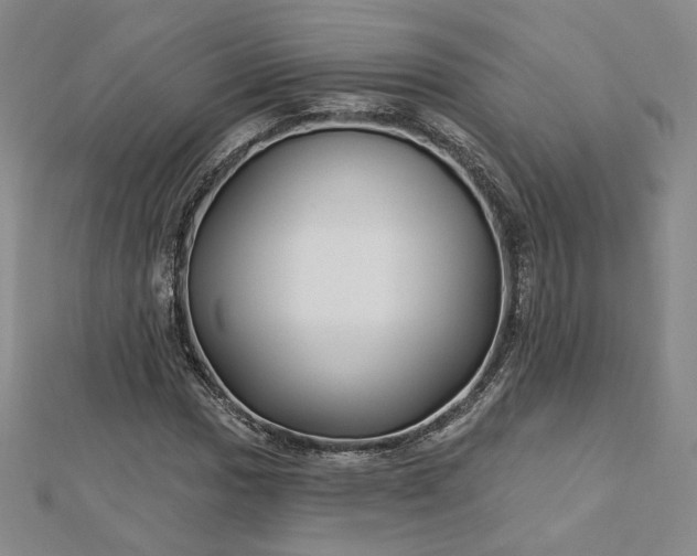 X0000112741017200909031502