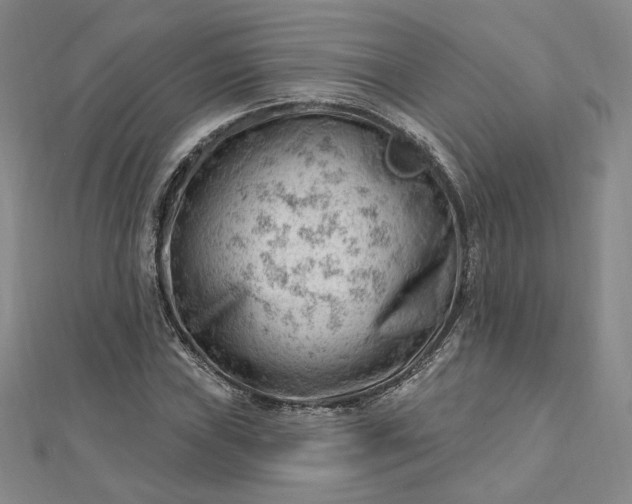 X0000112741019200909031502