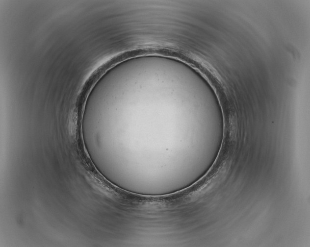 X0000112741021200909031502