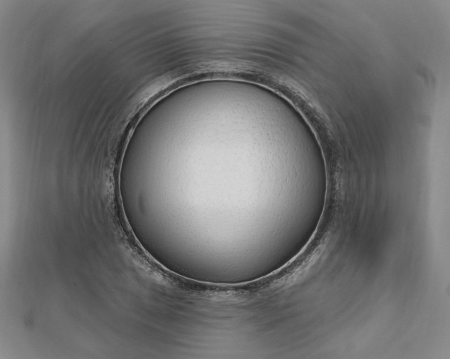 X0000112741025200909031502