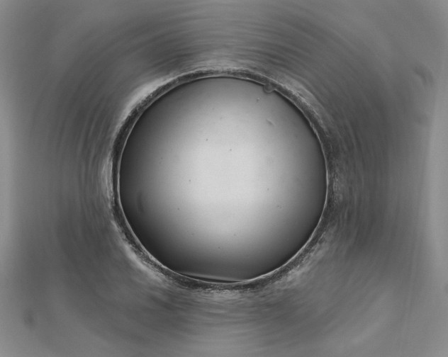 X0000112741030200909031502