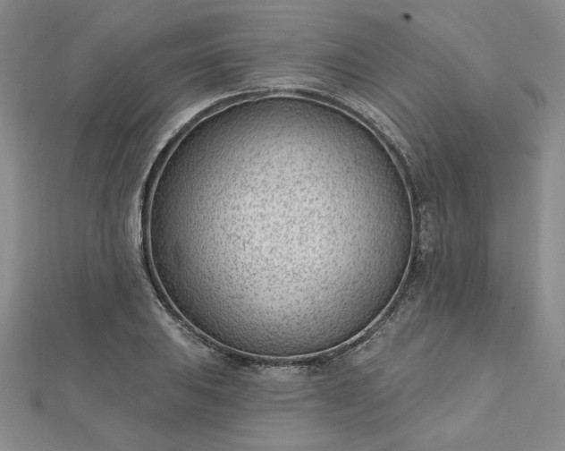 X0000112741031200909031502