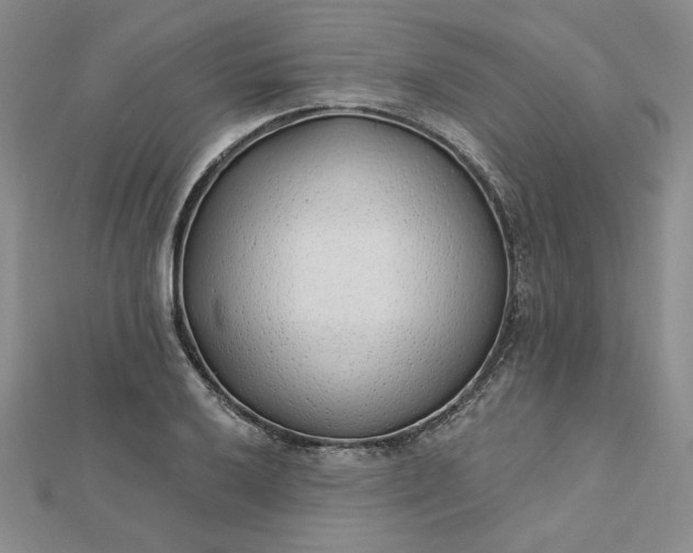 X0000112741032200909031502