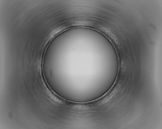 X0000112741033200909031502