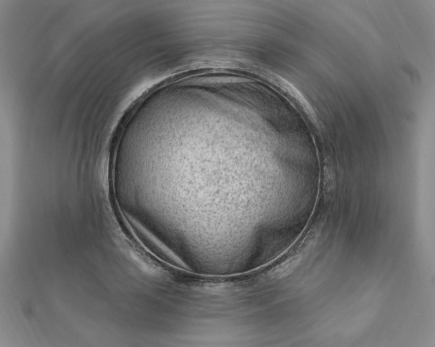 X0000112741035200909031502