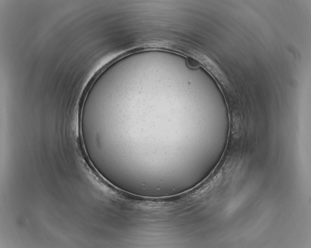 X0000112741036200909031502