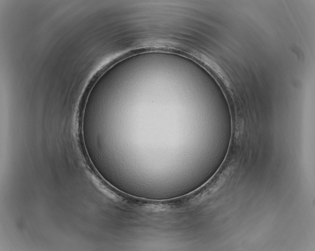 X0000112741037200909031502