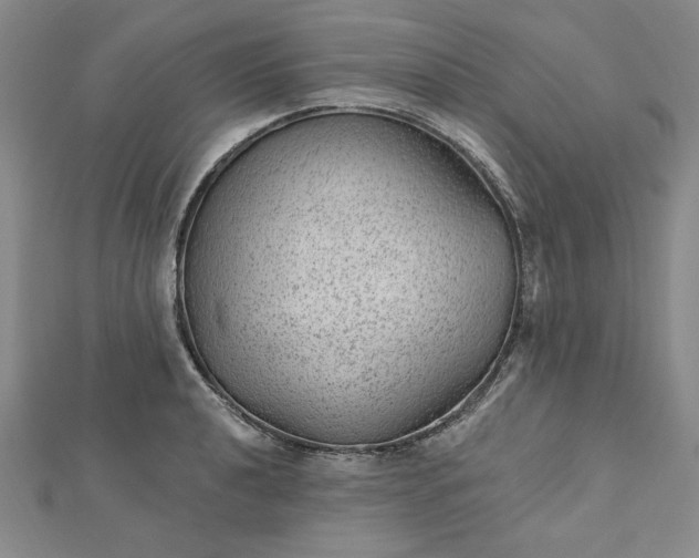 X0000112741040200909031502